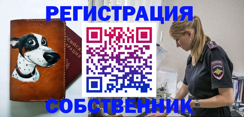 временная регистрация для школы в Старом Осколе